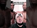 Damian Pinas vs Cesar Almeida #quick #ufc329 #breakdown #striking #banger #kickboxing