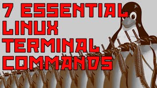 Famous Seven Essential Linux Commands For Those New to the Terminal Net Worth
