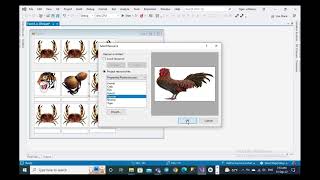 .Net Programming I - Assignment II (Tiger Gourd Game) Profile
