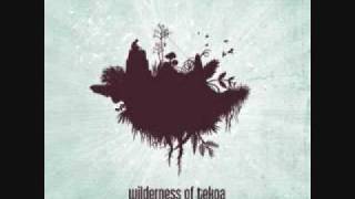 Watch Wilderness Of Tekoa Your Place In The Ground video