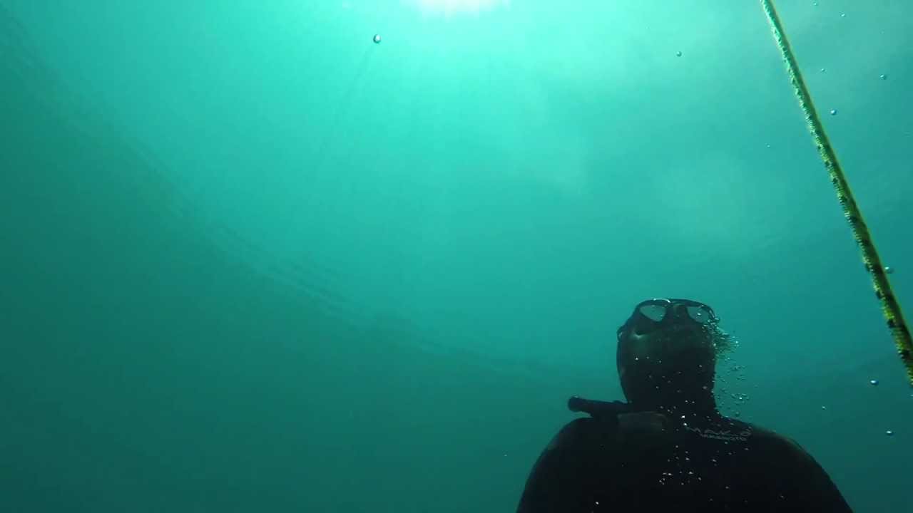 Dutch Springs 20M Freedive YouTube