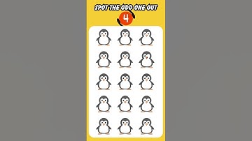 find odd one out | Quiz Gym