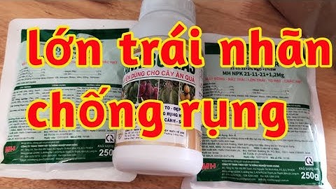 nuôi dưỡng lớn trái nhãn chống nứt rụng mát trái lên màu phì đều đẹp trái 023 25