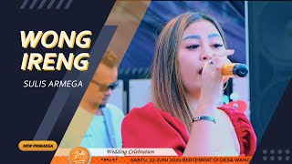 WONG IRENG - SULIS ARMEGA 