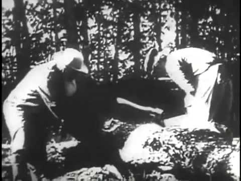 Video: Leo Tolstoi Kaikkia - Vaihtoehtoinen Näkymä