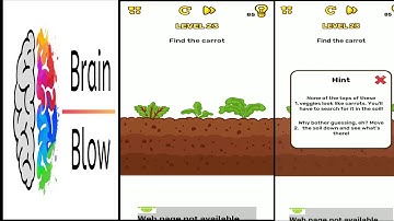 Brain Blow Level 23 Solution