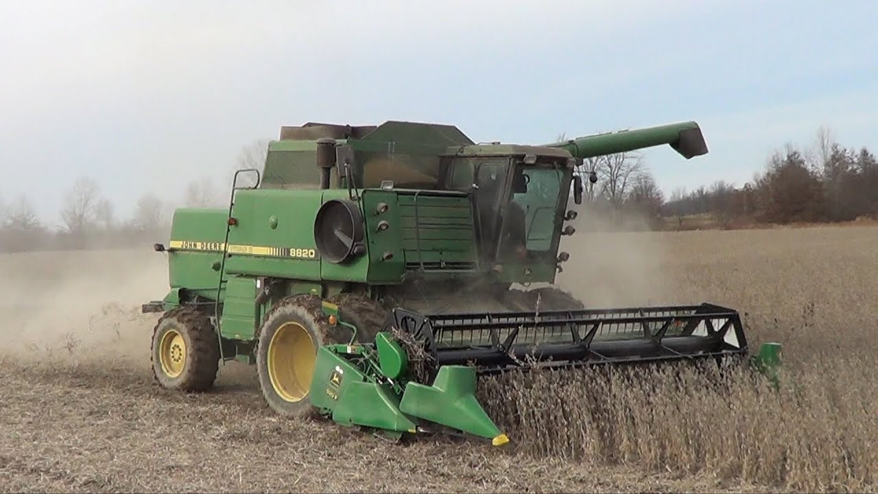 Harvesting Beans 2021 With John Deere 8820 6030 YouTube