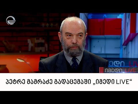 „მართვის სტრატეგიული ინსტიტუტის“ ხელმძღვანელი პეტრე მამრაძე გადაცემაში „იმედი LIVE“