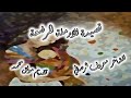 قصيدة الارملة المرضعة- للشاعر معروف الصافي 3م