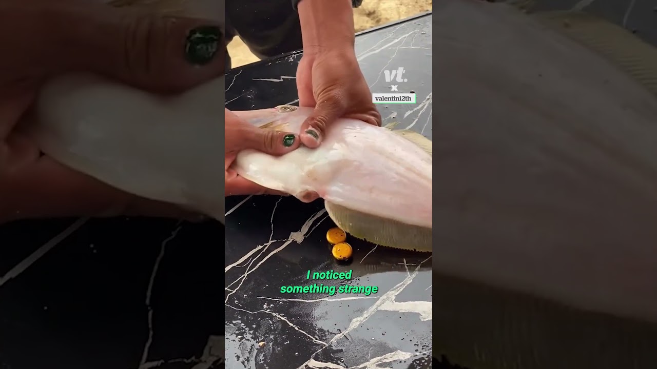 Что же, чёрт возьми, находится внутри этой рыбы?! 😳