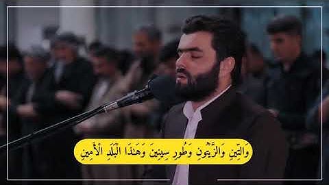سورة التين بيشه‌وا قادر الكردي