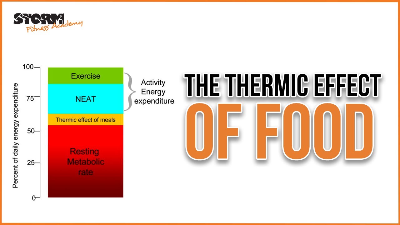 Tef Nutrition Definition | Blog Dandk