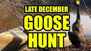 Late December Georgia Goose Hunt