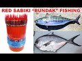 How to Catch Striped Bonito and Pomfret Fish | Red "Sabiki/ Bundak" Handline Fishing in Philippines