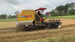 #Driving harvest rice kubota dc105x, រៀងចាស់បន្តិចមែនតែច្រូតមិនចាញ់ថ្មីទេ រត់ម៉ាអេម ម៉ាស៊ីនច្រូតគូបូ