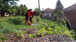 Stihl Fs 490 With 3 Blade Disc Cutting Some Overgrown Grass Косене На Трева С Моторна Косачка