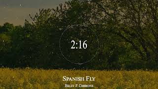 Billy F Gibbons - Spanish Fly