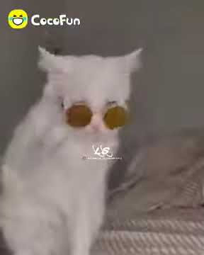 Asiyap