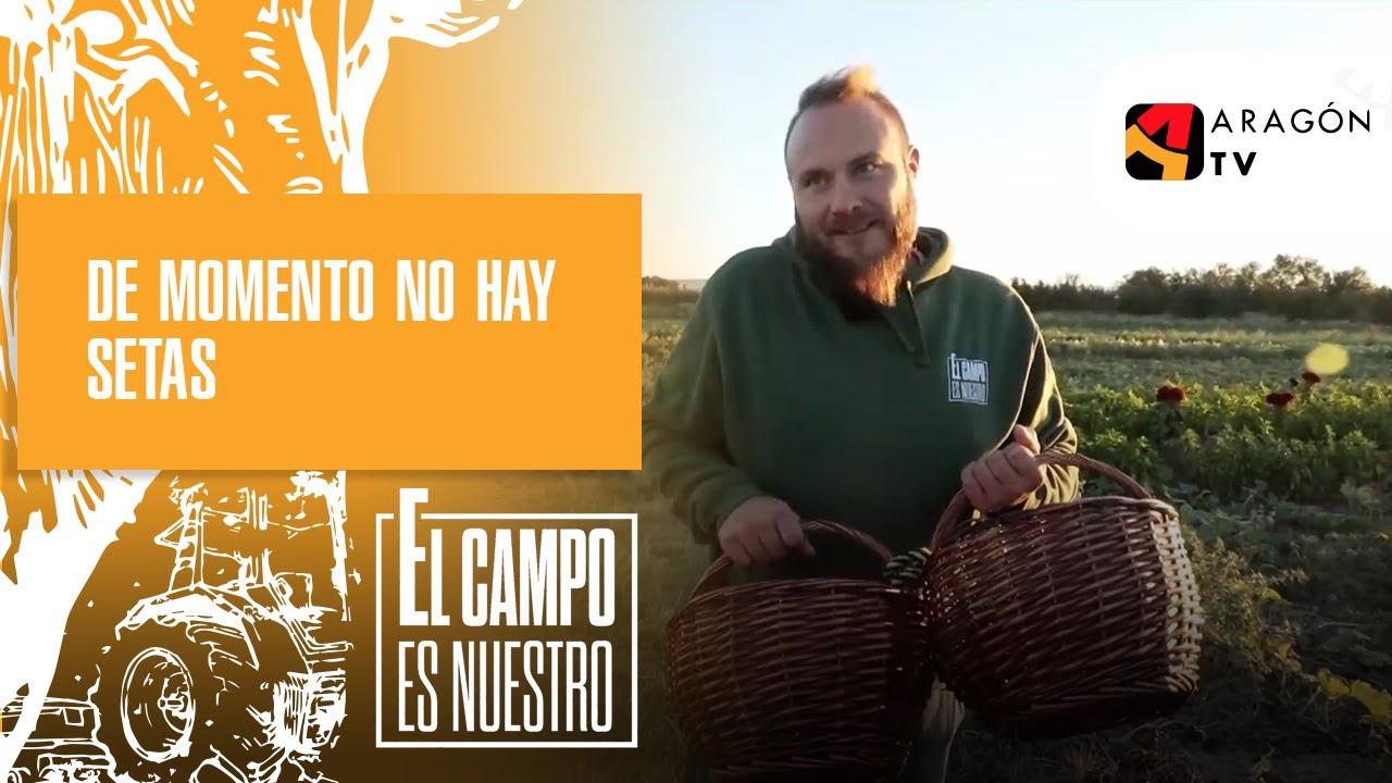 De momento, este año no hay setas