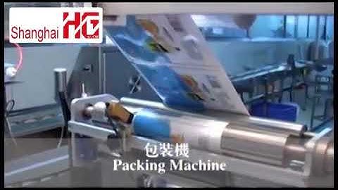 07 3 HG Fully automatic Layer cake production packing system  video