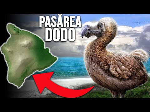 Adevarul Despre Extinctia Pasarilor Dodo