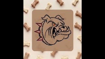 typography | logo | poster | design | fonts | poster design | quotes | t-shirt | art