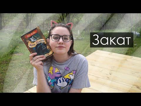 ЗАКАТ / Коты-Воители // CrazyTulipkin
