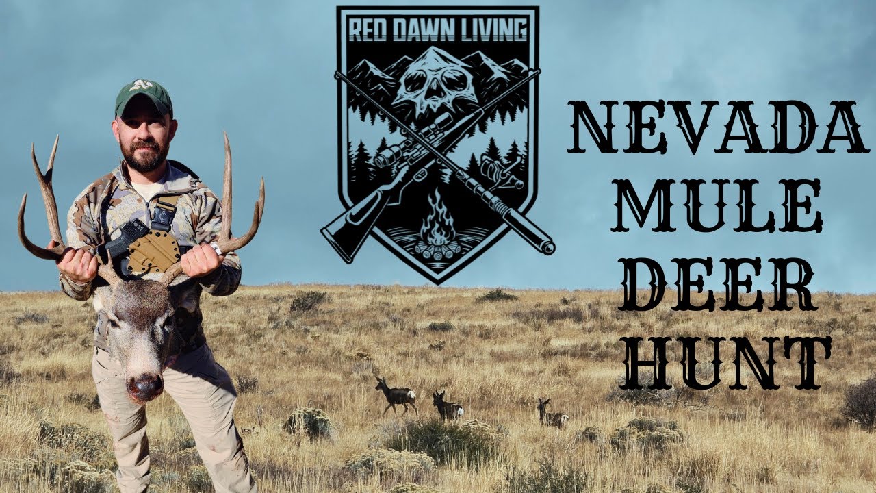 Охота на оленя-мула в Неваде в 2025 году