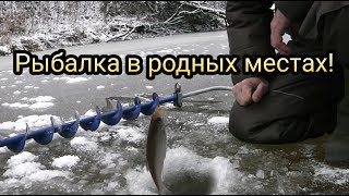 Рыбалка в родных местах!