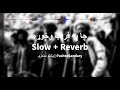 Cha pa fareb okhwara  fayaz khan kheshgi slow  reverb