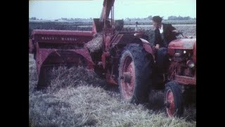 Werkzaamheden Van Het Veeteelt Bedrijf Van Jaap En Anneke Binnema Op Vrouwbuurstermolen In 1967-1972