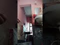 Live highlight