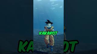 Did You Notice That In Dragon Ball Kakarot?