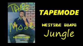 Westside Guapo - Jungle