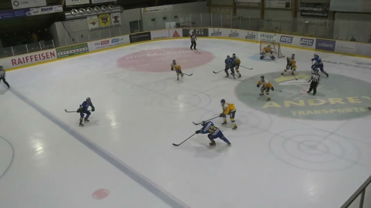 HC Düdingen Bulls vs EHC Dübendorf GOALS 20221029