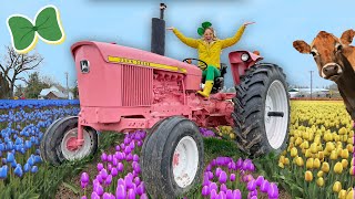 Pink Flower TRACTOR | Honey Bees, Flowers, Tractors and Dairy Cows For Kids | I LOVE SPRING SONG