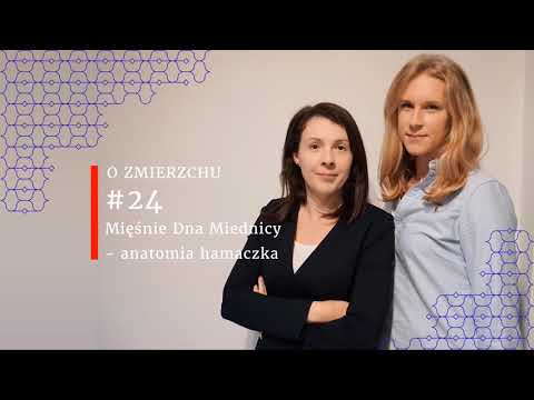 Video: 24 Fascinujúce fakty o DNA