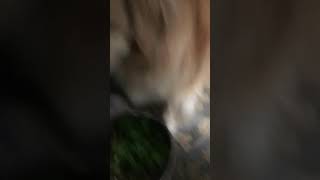 Daily snaps 5/14/18