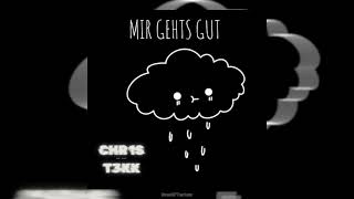 ARELLA - MIR GEHT'S GUT - CHR1ST3KK RMX [TECHNO]