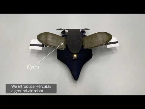 Robotic Elytra: Insect-inspired Protective Wings for Resilient and Multi-modal Drones