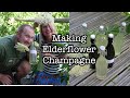 How to Make Elderflower Champagne