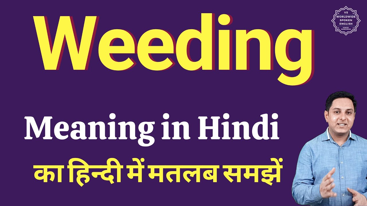 Weeding Meaning In Hindi Weeding Ka Matlab Kya Hota Hai YouTube weeding-meaning-in-hindi-weeding-ka-matlab-kya-hota-hai-youtube