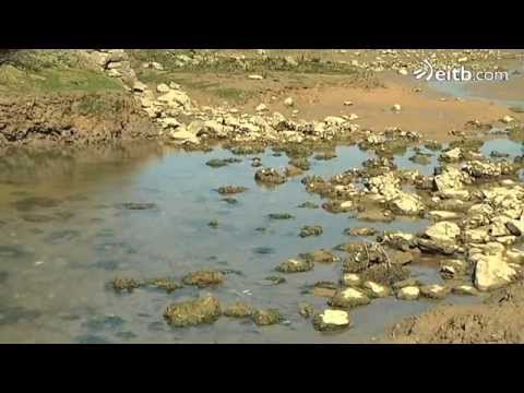 Vídeo: Los Geólogos Han Anunciado La Entrada De La Tierra En Una Nueva Era Llena De Peligros - Vista Alternativa