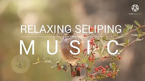 How to see Relaxing morning music/Seliping nice music