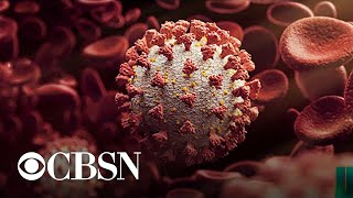 Delta COVID-19 variant detected in all states