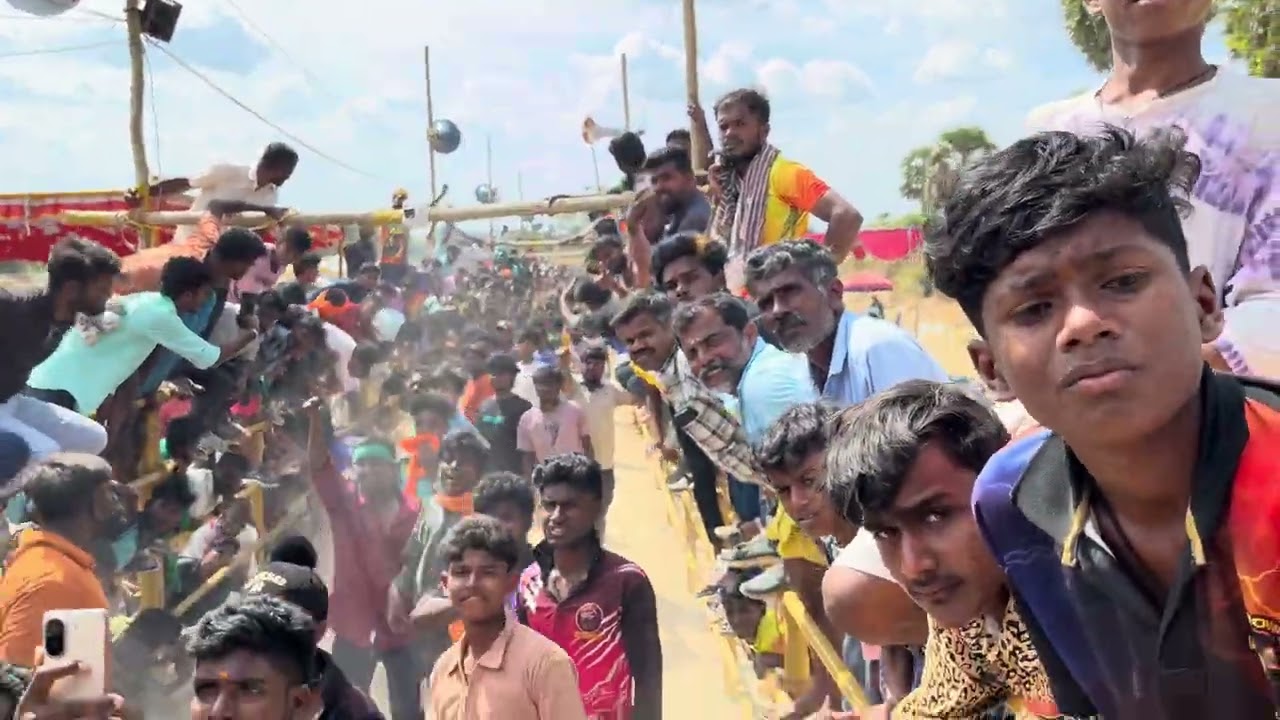 சீலெப்பள்ளி எருதுவிடும் திருவிழா 22/2/26🔴😜👍