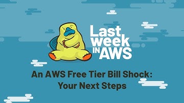 An AWS Free Tier Bill Shock: Your Next Steps