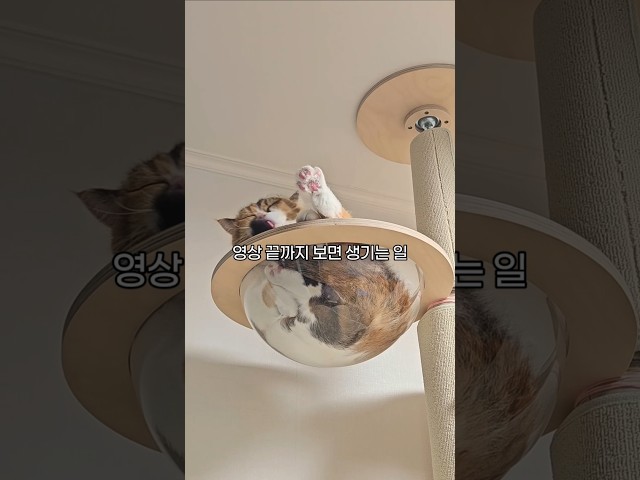 삼방이랑 하이파이브 할 사람~????️