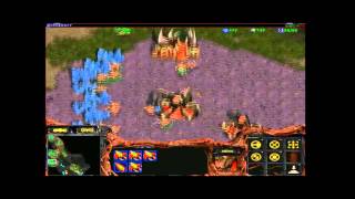 Starcraft Brood War ICCUP FPVOD 1v1 ZvP Python