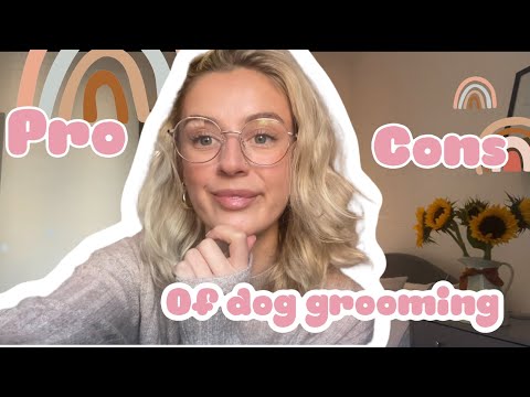 वीडियो: पेशेवरों और एक कुत्ता Groomer होने के विपक्ष
